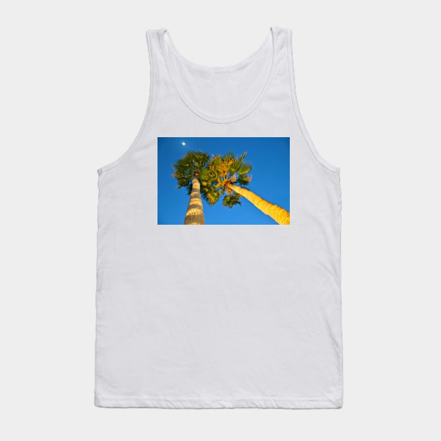 Palm Trees at Night Tank Top by Spindriftdesigns